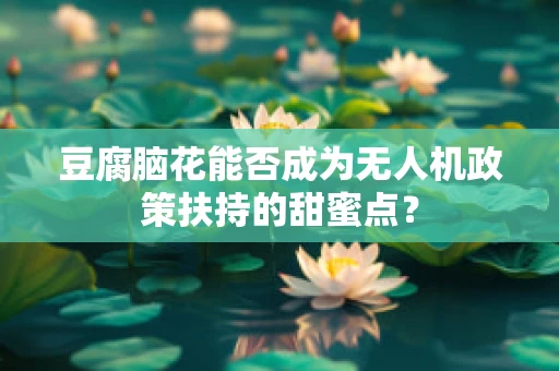 豆腐脑花能否成为无人机政策扶持的甜蜜点？