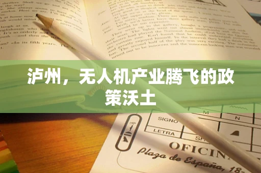 泸州，无人机产业腾飞的政策沃土