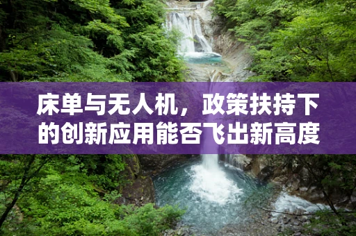 床单与无人机，政策扶持下的创新应用能否飞出新高度？