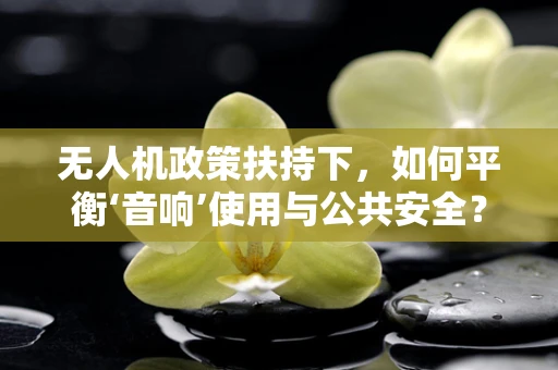 无人机政策扶持下，如何平衡‘音响’使用与公共安全？