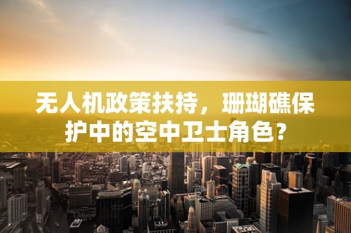 无人机政策扶持，珊瑚礁保护中的空中卫士角色？