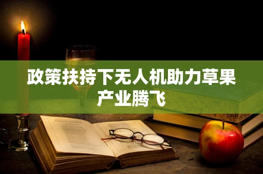 政策扶持下无人机助力草果产业腾飞