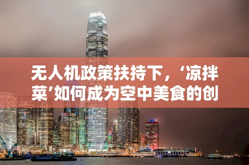 无人机政策扶持下，‘凉拌菜’如何成为空中美食的创意配送新宠？