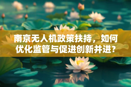 南京无人机政策扶持，如何优化监管与促进创新并进？