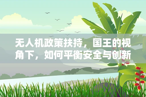 无人机政策扶持，国王的视角下，如何平衡安全与创新？