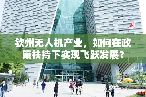 钦州无人机产业，如何在政策扶持下实现飞跃发展？