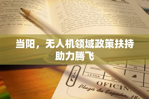 当阳，无人机领域政策扶持助力腾飞