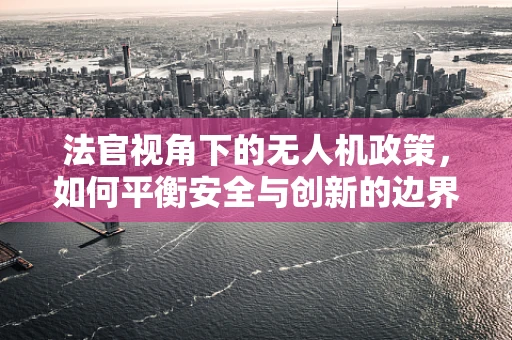 法官视角下的无人机政策，如何平衡安全与创新的边界？
