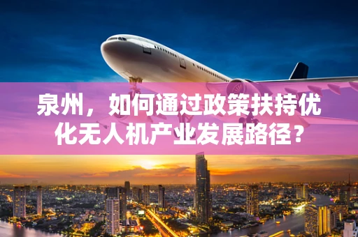 泉州，如何通过政策扶持优化无人机产业发展路径？