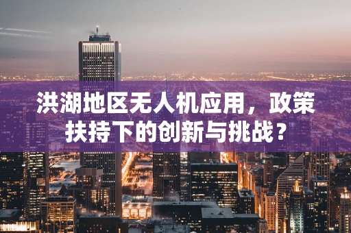 洪湖地区无人机应用，政策扶持下的创新与挑战？