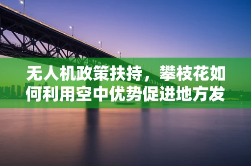 无人机政策扶持，攀枝花如何利用空中优势促进地方发展？