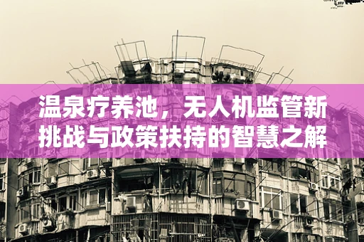温泉疗养池，无人机监管新挑战与政策扶持的智慧之解？