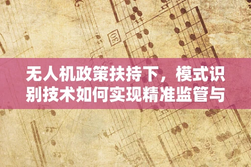 无人机政策扶持下，模式识别技术如何实现精准监管与安全飞行？