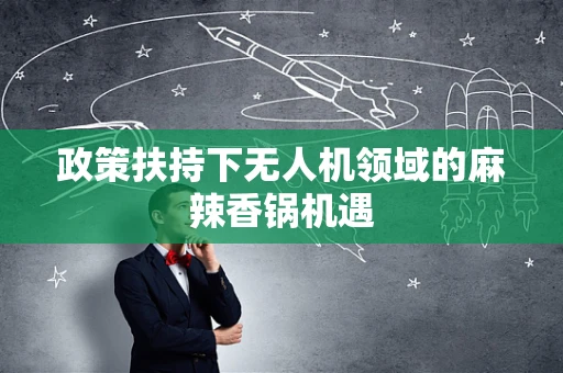 政策扶持下无人机领域的麻辣香锅机遇