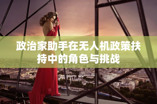 政治家助手在无人机政策扶持中的角色与挑战
