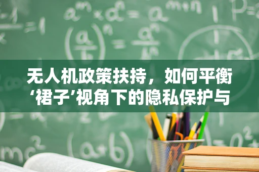 无人机政策扶持，如何平衡‘裙子’视角下的隐私保护与公共安全？
