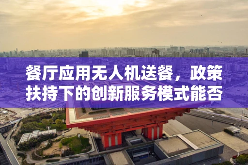 餐厅应用无人机送餐，政策扶持下的创新服务模式能否落地？