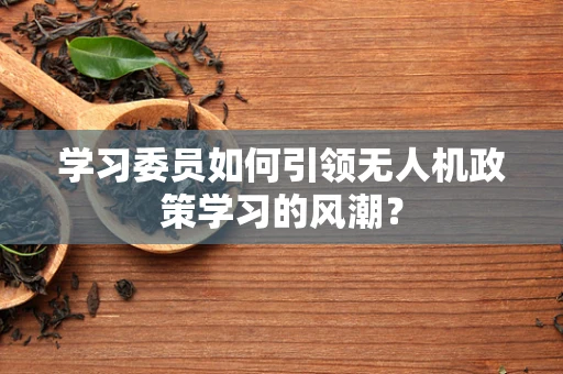 学习委员如何引领无人机政策学习的风潮？