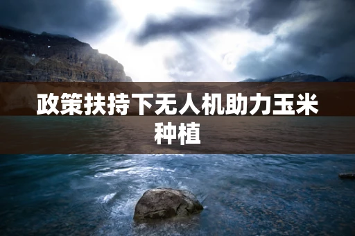 政策扶持下无人机助力玉米种植