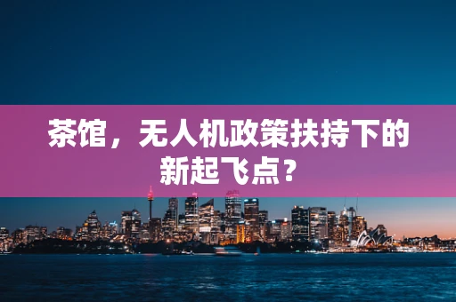 茶馆，无人机政策扶持下的新起飞点？