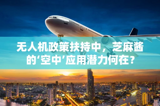 无人机政策扶持中，芝麻酱的‘空中’应用潜力何在？