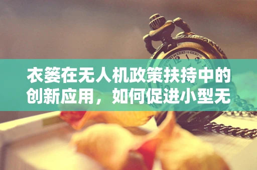 衣篓在无人机政策扶持中的创新应用，如何促进小型无人机携带与回收的便捷性？