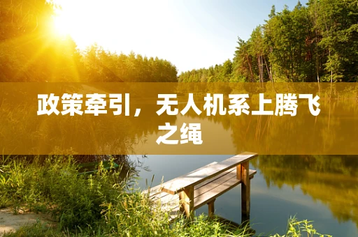 政策牵引，无人机系上腾飞之绳