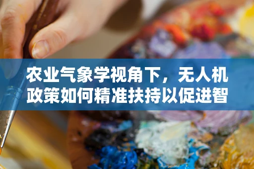 农业气象学视角下，无人机政策如何精准扶持以促进智慧农业发展？
