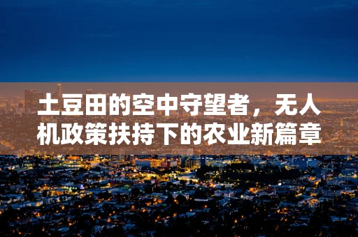 土豆田的空中守望者，无人机政策扶持下的农业新篇章？