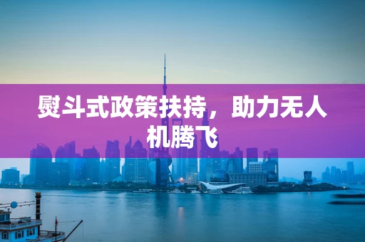 熨斗式政策扶持，助力无人机腾飞