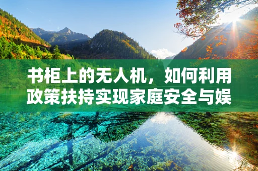 书柜上的无人机，如何利用政策扶持实现家庭安全与娱乐的双重飞跃？