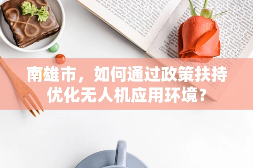 南雄市，如何通过政策扶持优化无人机应用环境？