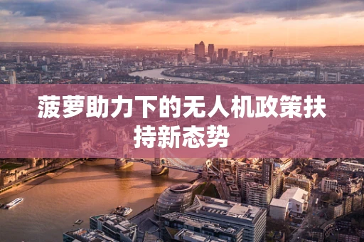 菠萝助力下的无人机政策扶持新态势