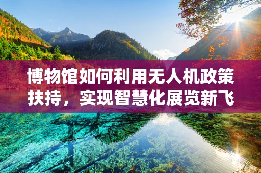 博物馆如何利用无人机政策扶持，实现智慧化展览新飞跃？