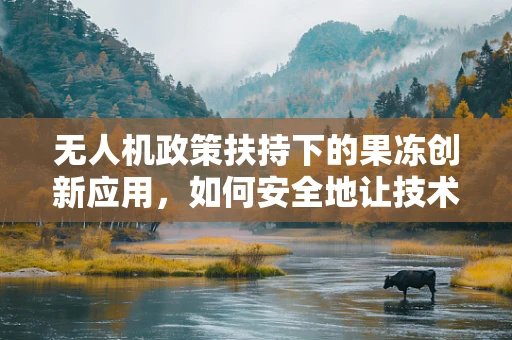 无人机政策扶持下的果冻创新应用，如何安全地让技术软着陆？