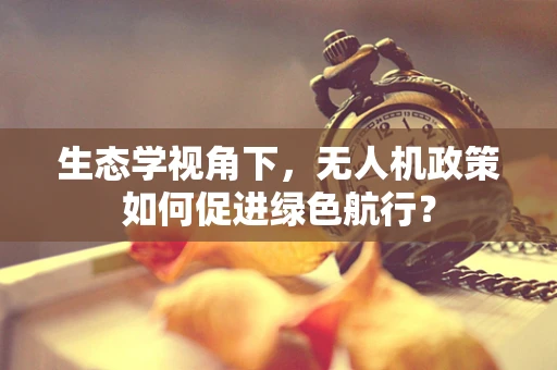 生态学视角下，无人机政策如何促进绿色航行？