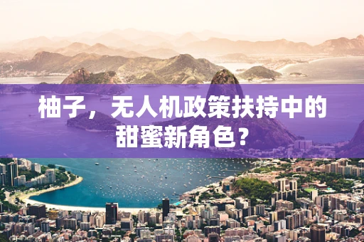 柚子，无人机政策扶持中的甜蜜新角色？