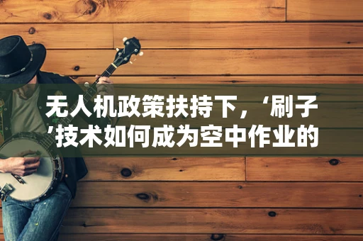 无人机政策扶持下，‘刷子’技术如何成为空中作业的新利器？