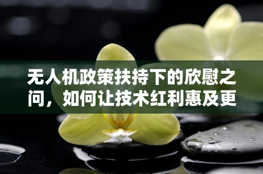 无人机政策扶持下的欣慰之问，如何让技术红利惠及更广？