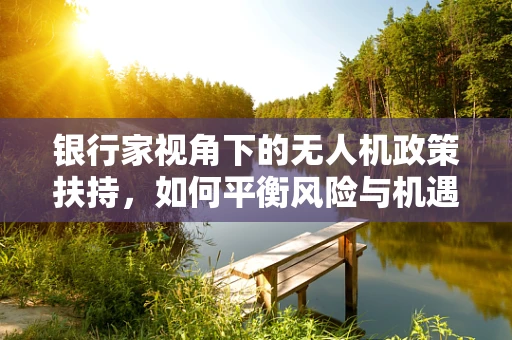 银行家视角下的无人机政策扶持，如何平衡风险与机遇？