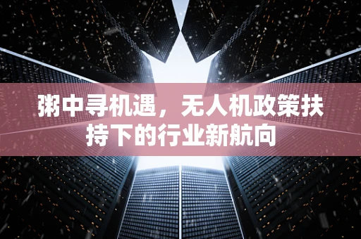 粥中寻机遇，无人机政策扶持下的行业新航向