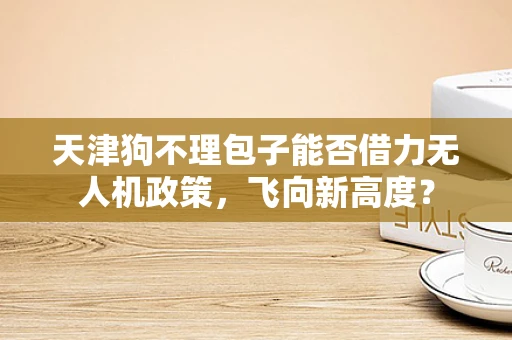 天津狗不理包子能否借力无人机政策，飞向新高度？
