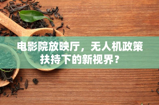电影院放映厅，无人机政策扶持下的新视界？