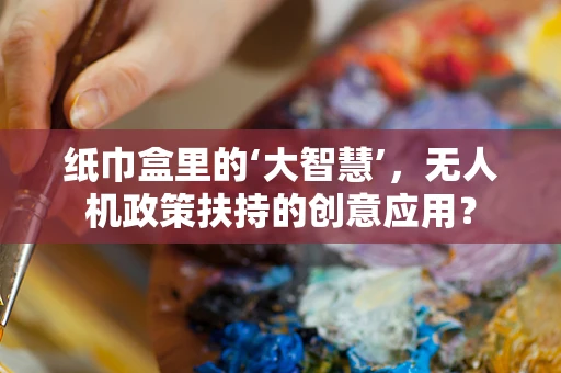 纸巾盒里的‘大智慧’，无人机政策扶持的创意应用？