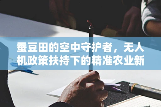 蚕豆田的空中守护者，无人机政策扶持下的精准农业新篇章？