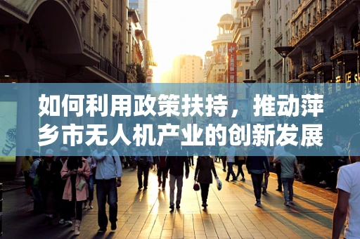 如何利用政策扶持，推动萍乡市无人机产业的创新发展？