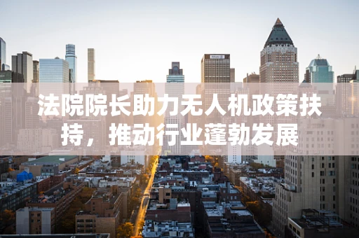 法院院长助力无人机政策扶持，推动行业蓬勃发展