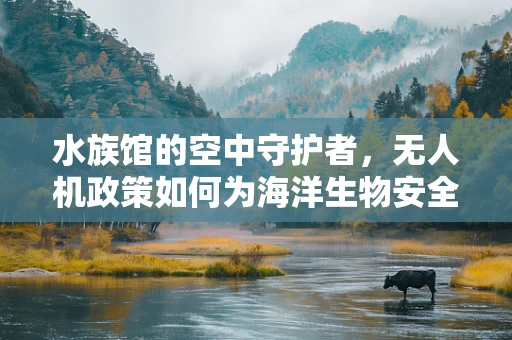水族馆的空中守护者，无人机政策如何为海洋生物安全护航？