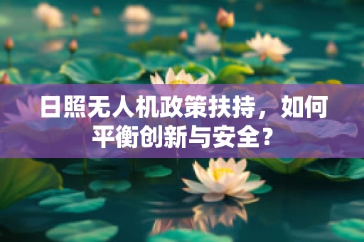 日照无人机政策扶持，如何平衡创新与安全？