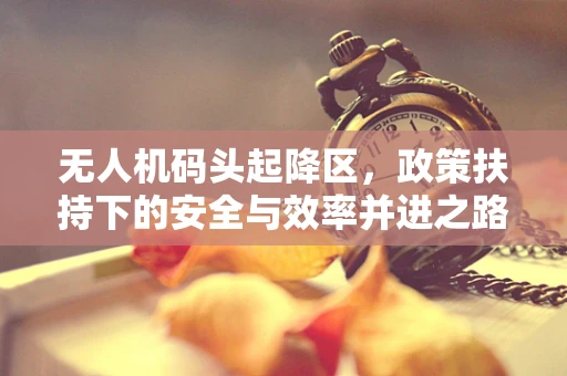 无人机码头起降区，政策扶持下的安全与效率并进之路